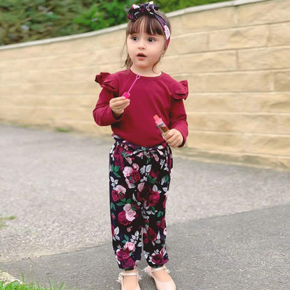 Cute Floral Girl Clothes Outfits, Toddler Baby Girl Clothes Set Ruffle T-Shirt + Pant Set with Headband